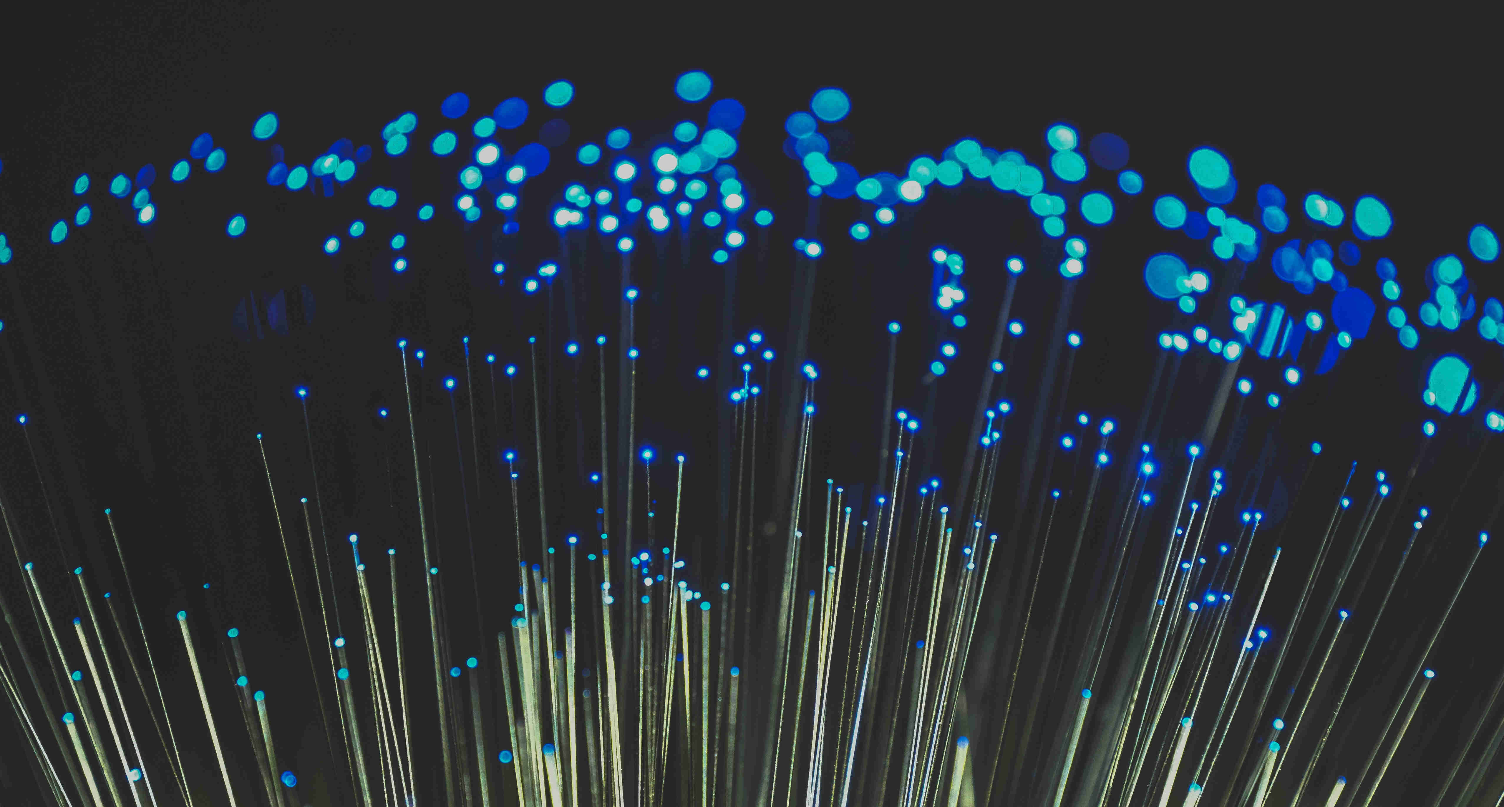 fibra ottica
